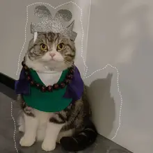 ペット コスプレ 犬 猫 沙悟浄 仮装 襟 マント 頭飾り 3点セット ハロウィン