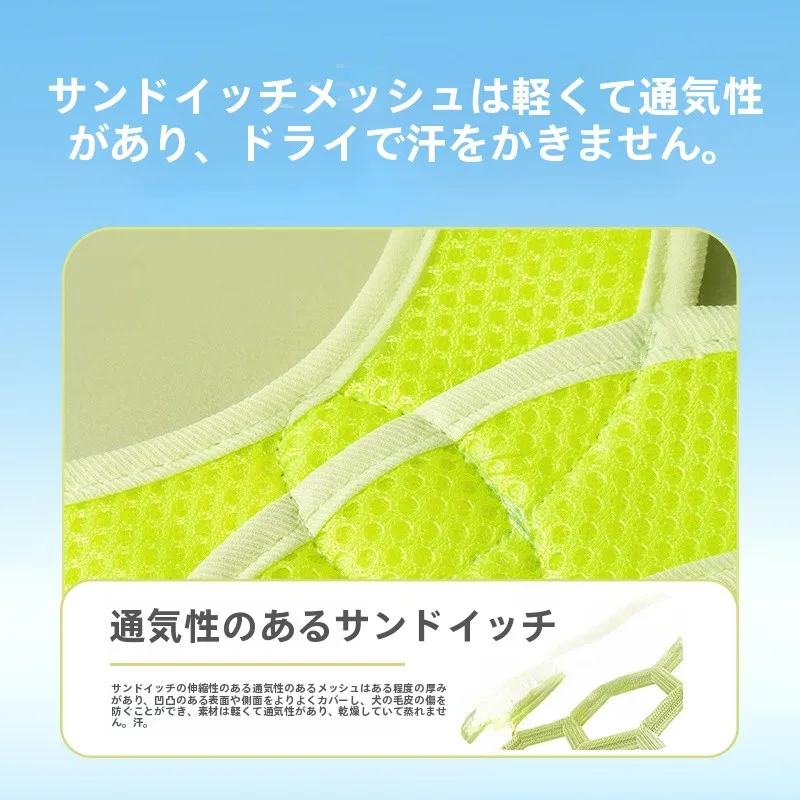 hipidog 犬用ハーネスリード：小型犬向け胸掛け式の実用性とサイズ適合性