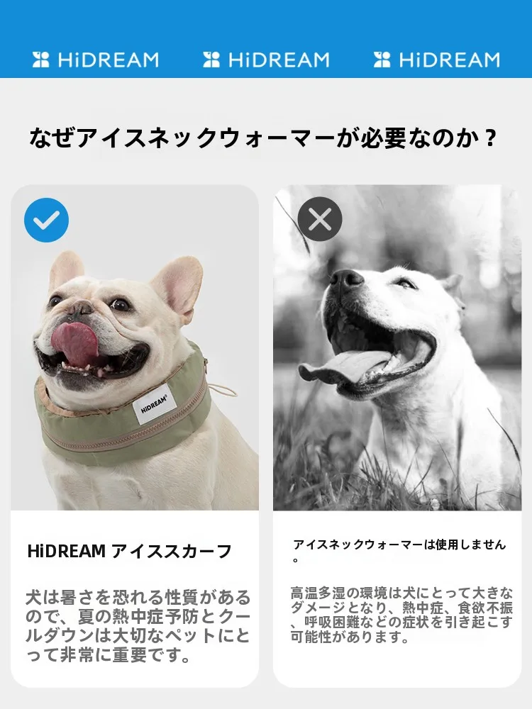 夏の外出で犬が熱中症になるのを防ぐには、どんな「あったかグッズ」がおすすめ？