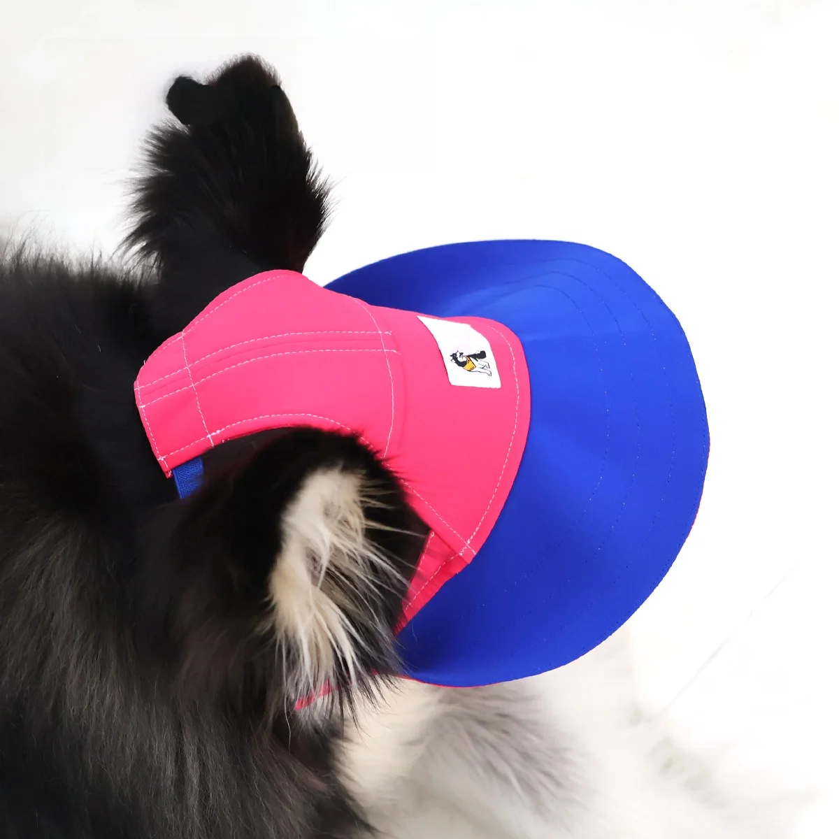 犬のお散歩グッズをコスパ良く揃える方法｜日除けハットの選び方と実用性徹底解説