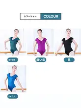 バレエダンス衣装【レース低背・短袖・大人用】（セットアップ対応）