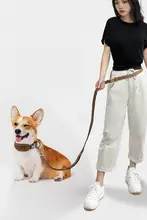 多機能ペットリード【テディ・コーギー用・防脱出・アウトドア用】
