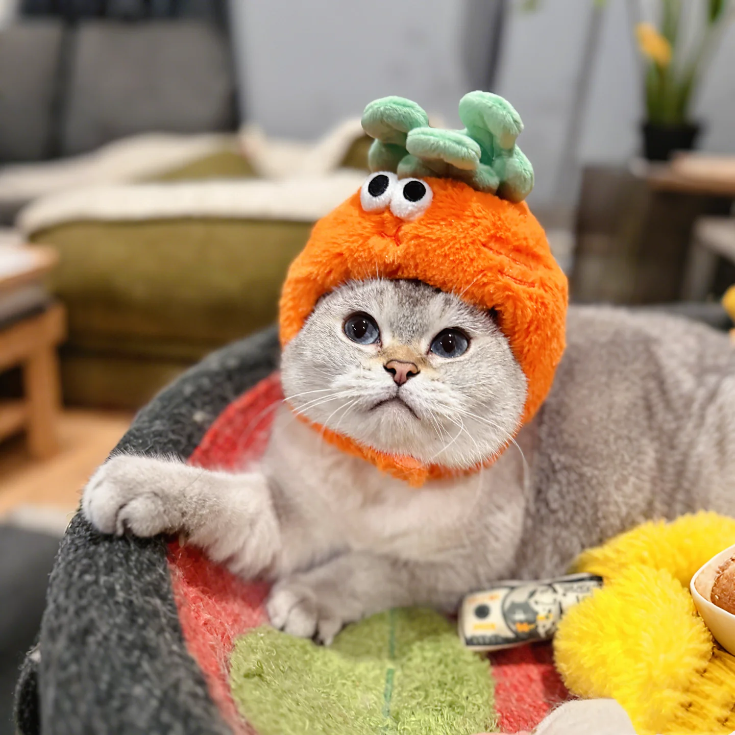 かわいいキャロットデザインの猫帽子：写真撮影向けの変装アクセサリー