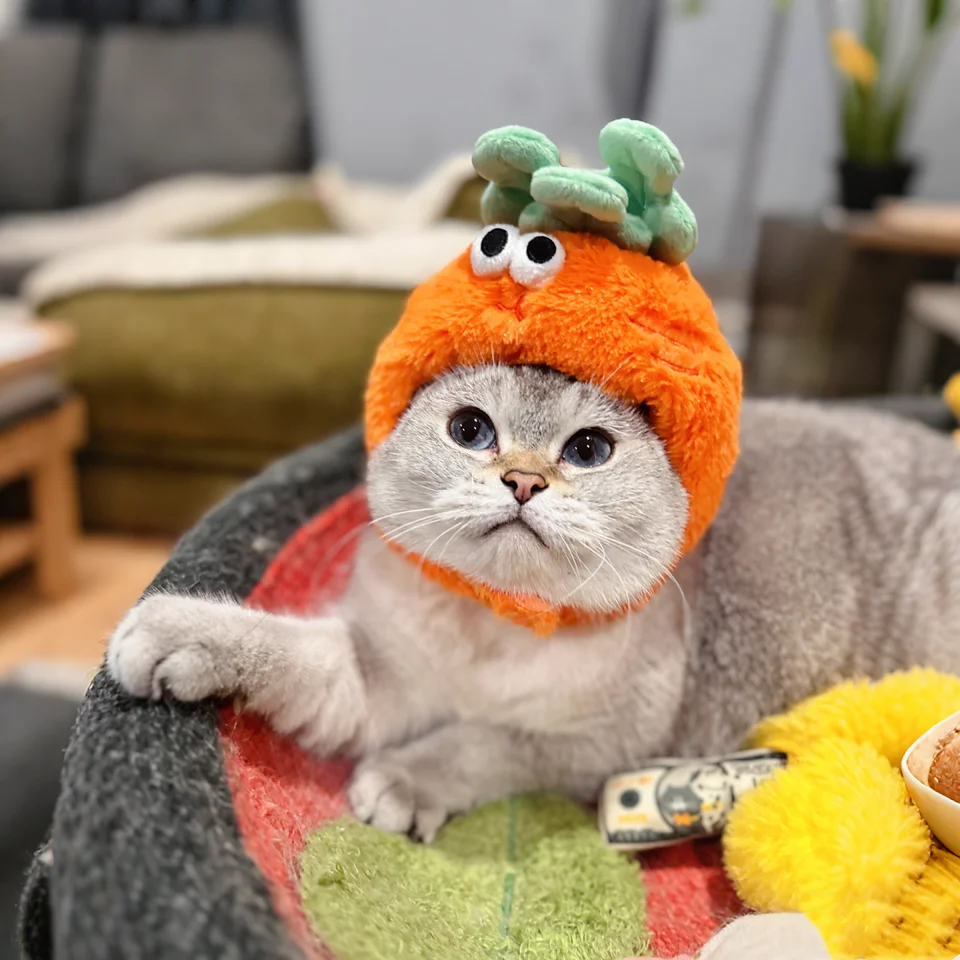 かわいいキャロットデザインのペット用猫帽子【毛むくじゃら・写真撮影用】