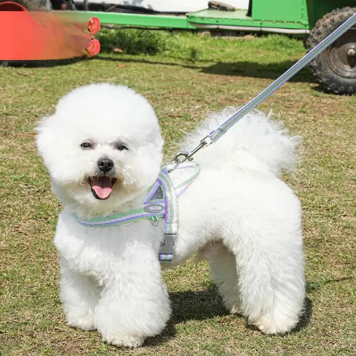 犬用リード 小型犬用チェストハーネス ハーネス リーシュ