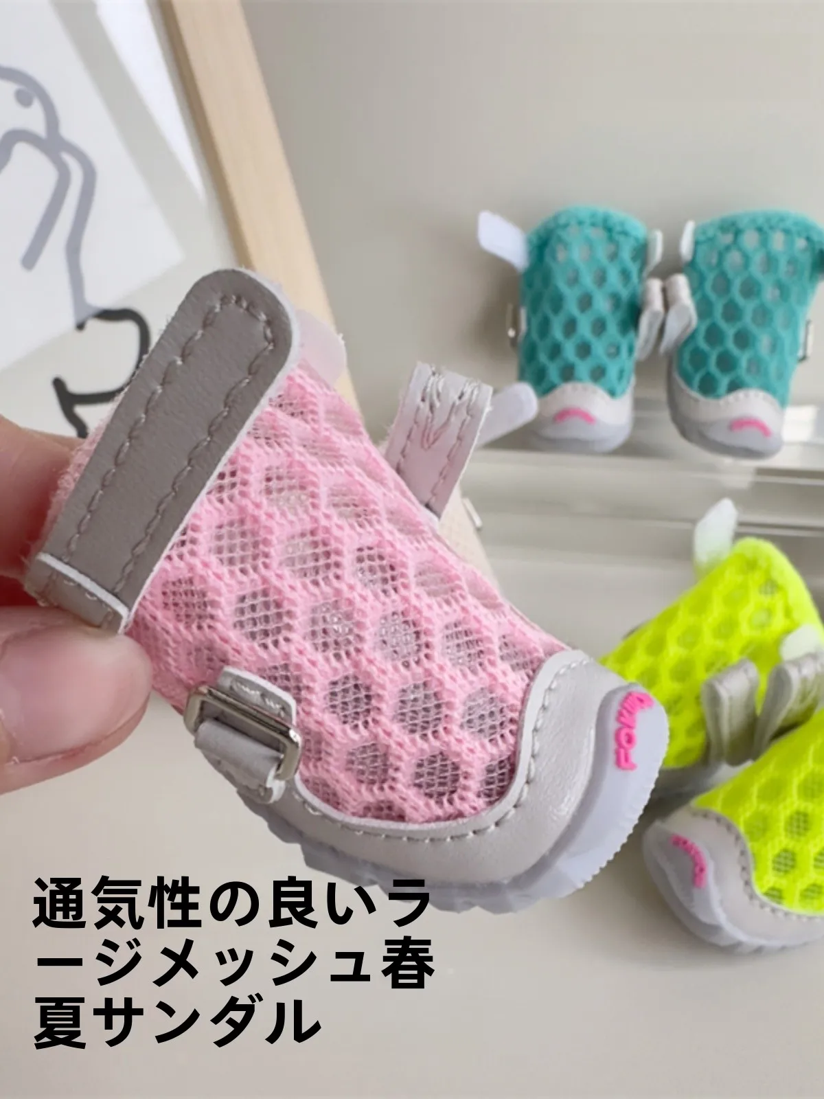 犬のお散歩グッズをコスパ良く揃える方法｜fokwowシューズの季節対応とインソールの選び方