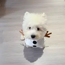 冬用ペット用雪人デザインウェア【保温・小型犬・猫用・極上の柔らかさ】