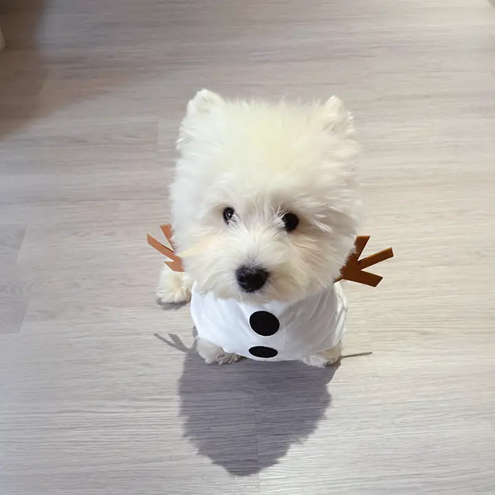 冬用ペット用雪人デザインウェア【保温・小型犬・猫用・極上の柔らかさ】