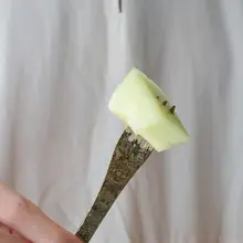 秋季デザインのハンマーテクスチャー ケーキフォーク【ステンレス製・スイーツ・コーヒースプーン・月餅ナイフフォーク】