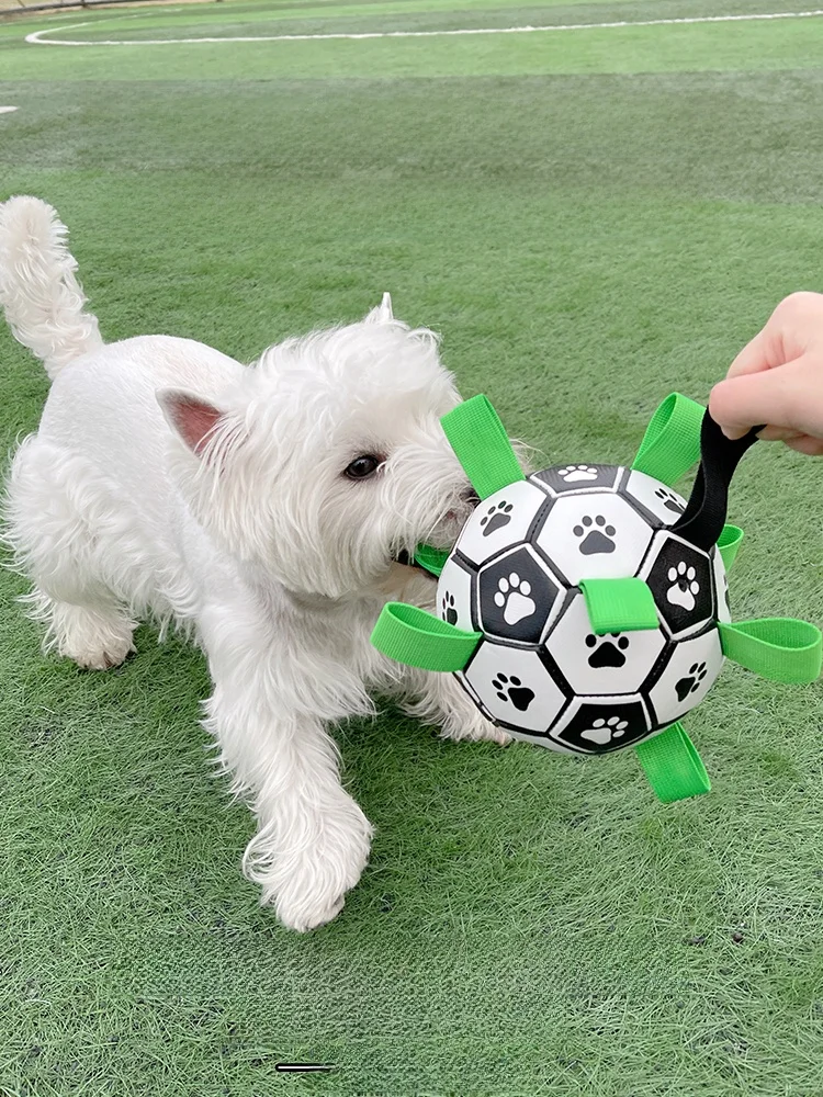犬のお散歩グッズをコスパ良く揃える方法｜耐噛性とポンプ機能がポイントの完全ガイド