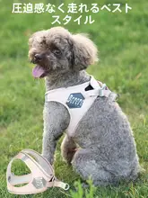 BORORO 犬用ハーネス付きリード【小型犬用・お散歩用・調節可能】
