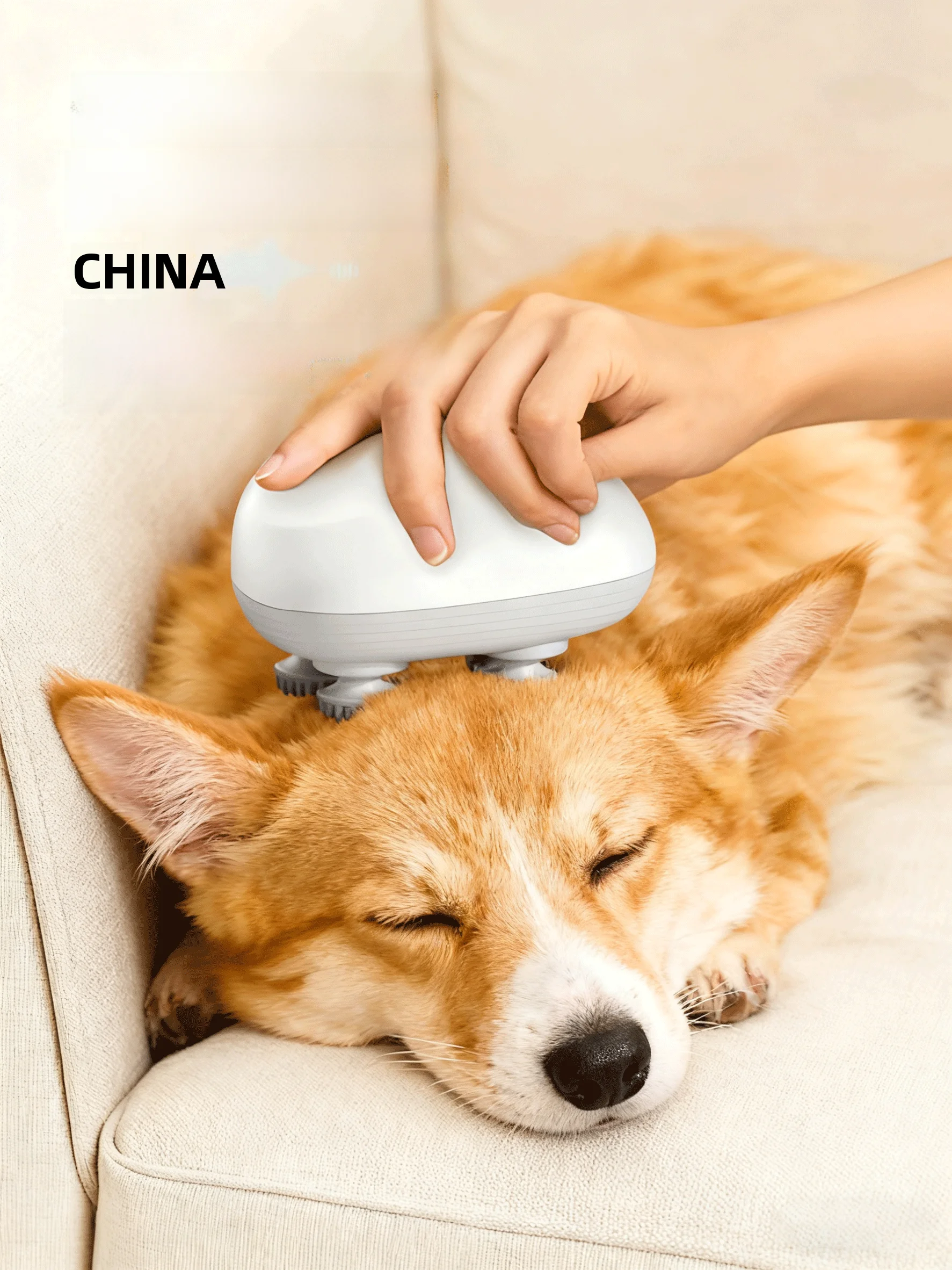 くすぐり機械を選ぶべきタイミングは？犬のストレスケ  アに最適なアイテムとは？