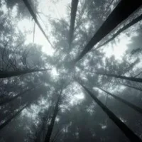 @2nd_1030b
