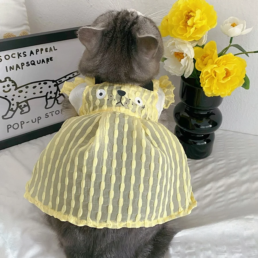 猫カフェデートで着る服は、コスプレみたいにしなくていい？