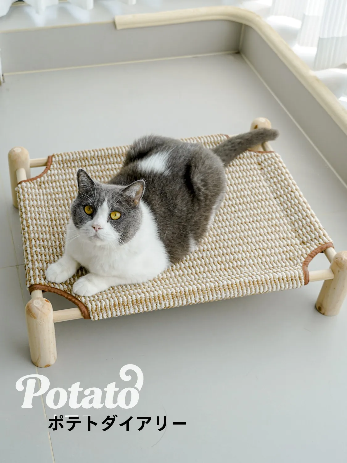 パイプ ベッド すのこ：夏用木製防湿ベッドの実用性と設置ガイド