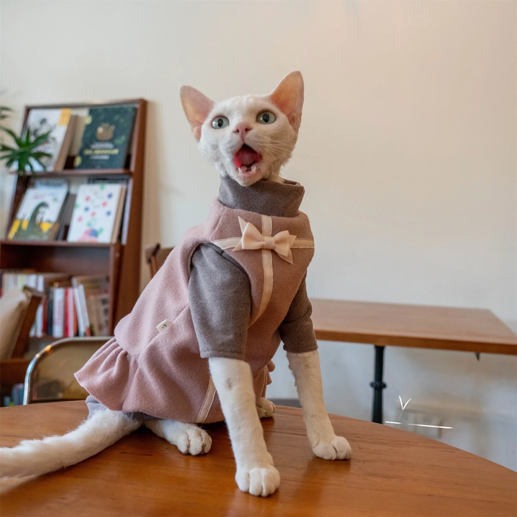 猫 ワンピース ベストギフト ウール フリース：冬期の猫向けファッションアイテムの実用性と適用範囲