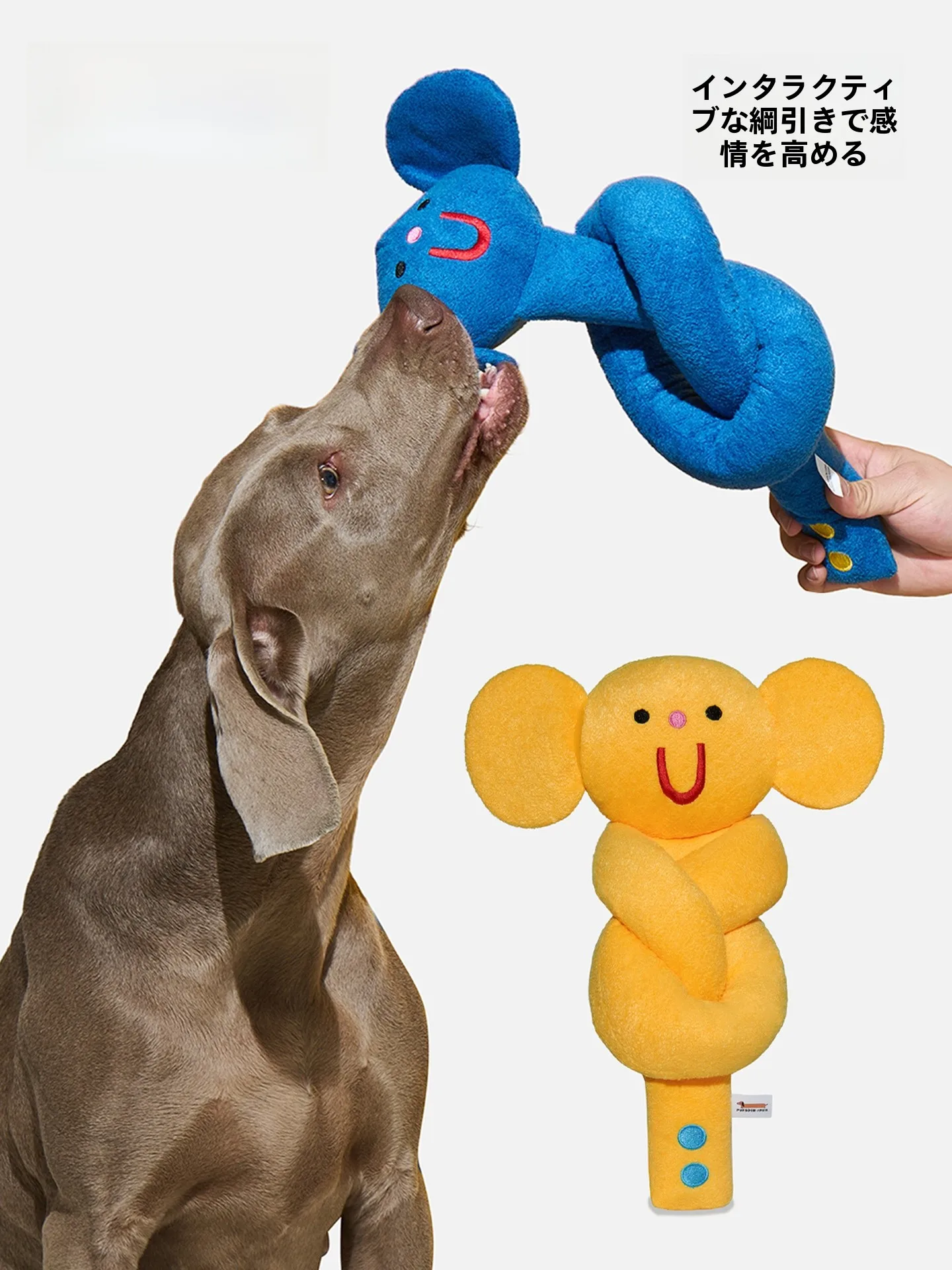犬用おもちゃ 毛糸の歯磨きインタラクティブトイ：おすすめブランドと実際の使用シーン