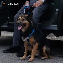 XPAWS 胸部ハーネス型ペット用リード【中小型犬用・柴犬向け・散歩用】