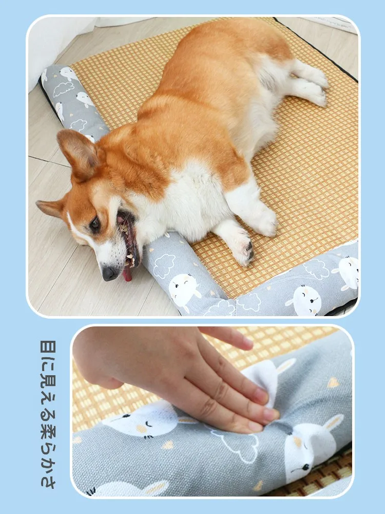 犬の暑さ対策で迷うなら、これひとつで解決できる？