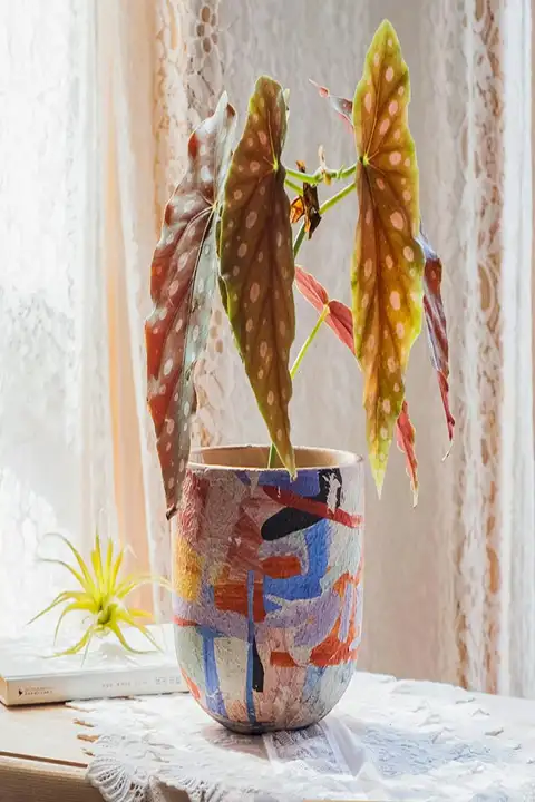 掬涵マティス 陶器製 アートフラワーポット 中サイズ【多肉植物・ラン・グリーンロア用】