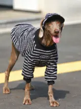 大型犬用 冬季ペットウェア【暖かい保温素材・ラブラドール・ゴールデン・ドーベルマン対応】