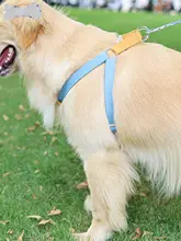 犬用ハーネスリード【散歩用・胸部サポート・テディ・フレンチブルドッグ・ゴールデンレトリーバー対応】