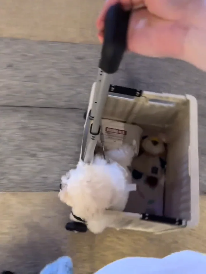 ペット用ベビーカー 軽量折りたたみ屋外犬散歩スクーター