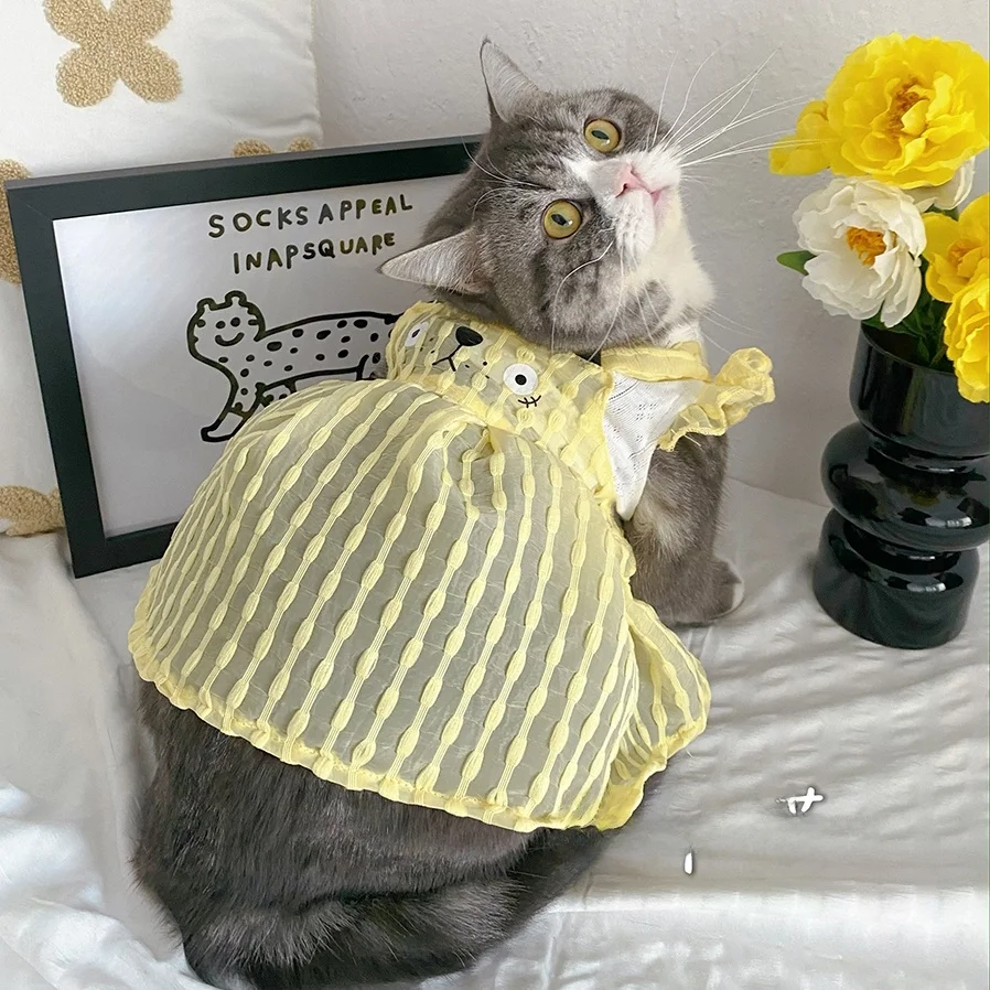猫カフェデートで着る服は、コスプレみたいにしなくていい？