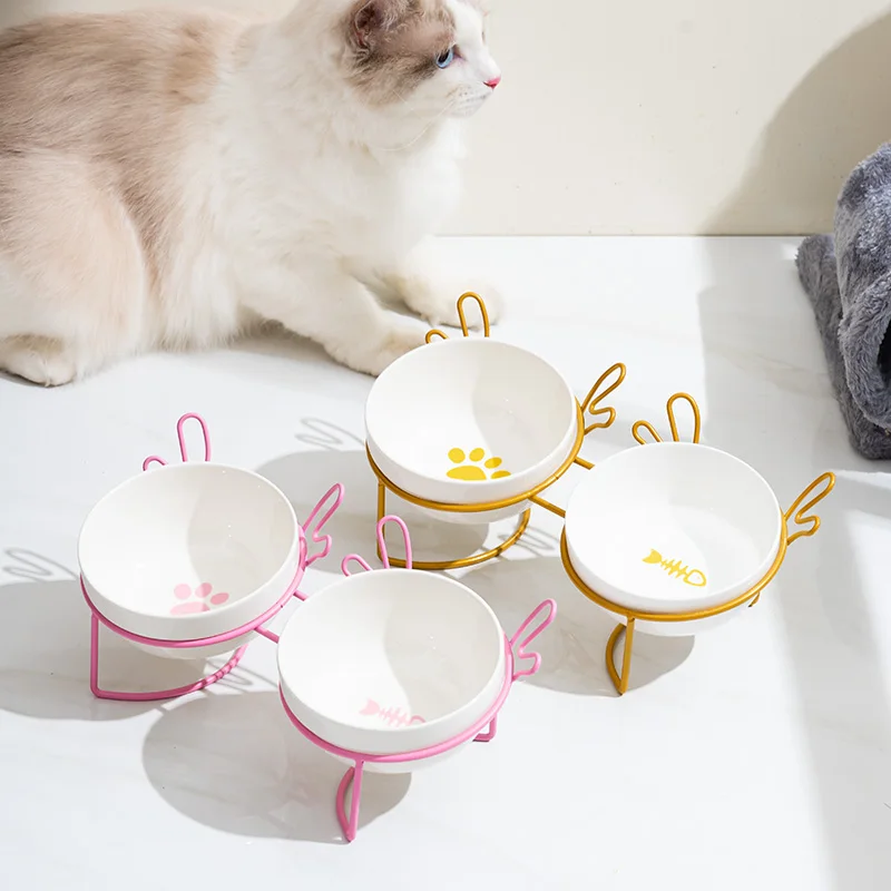 猫の食器に陶器を選ぶべき理由は？高さと安定性が健康に与える影響とは