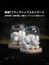 蚕花娘娘 100%純絹 シルク掛け布団【春秋用・高級シルク・冬用】