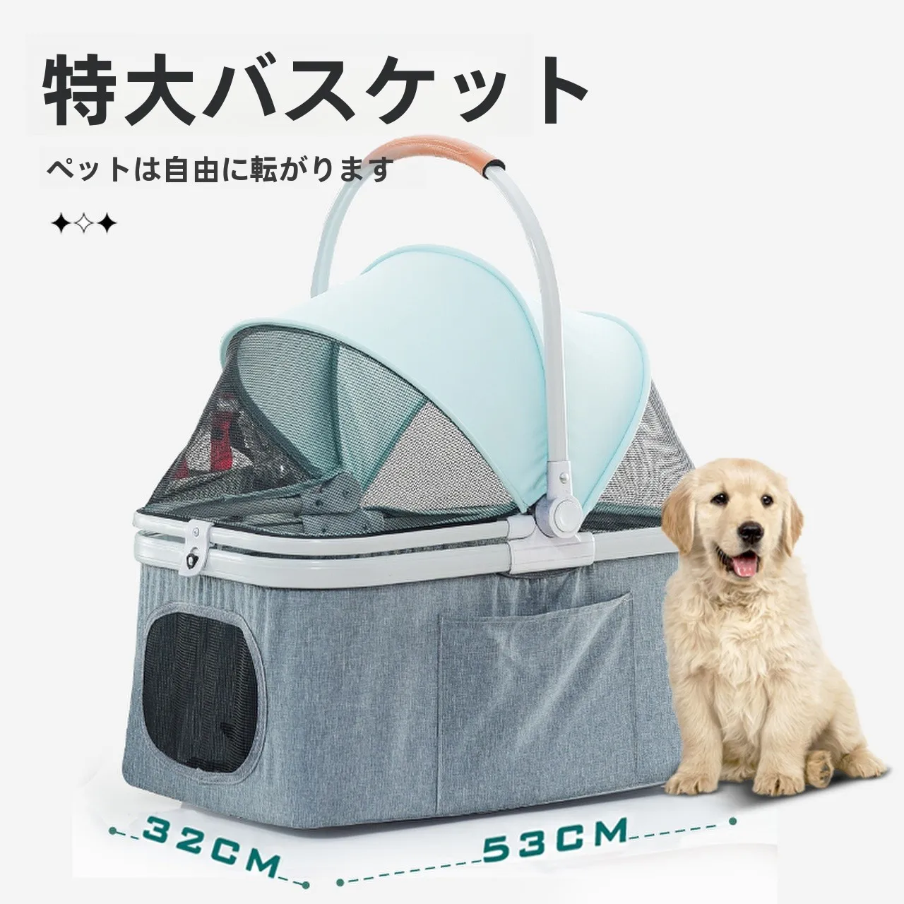 犬のお散歩グッズをコスパ良く揃える方法　取り外し可能なバスケットの実用性徹底解説