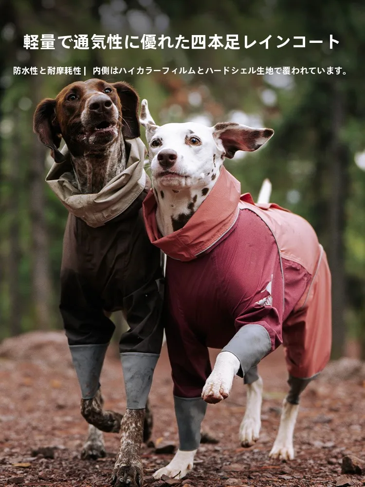 犬のお散歩グッズをコスパ良く揃える方法 - 軽量防水防汚レインコートの選定基準