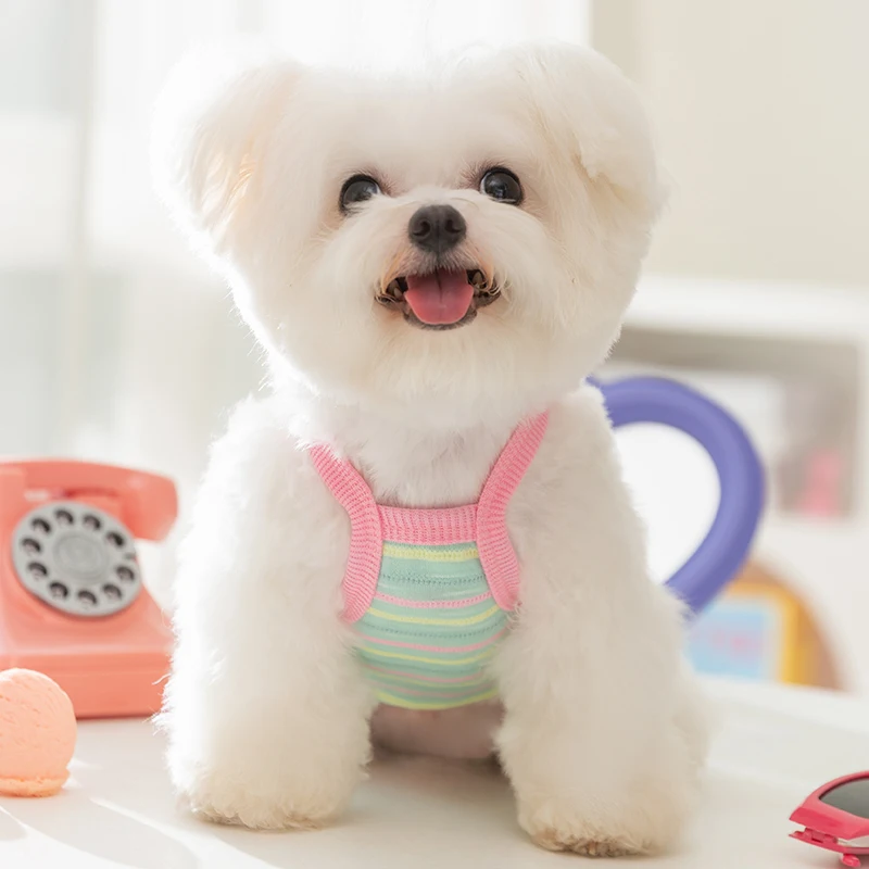 カラフルストライプの小型犬用ハーネス：春夏季向けのかわいいデザインが散歩に最適