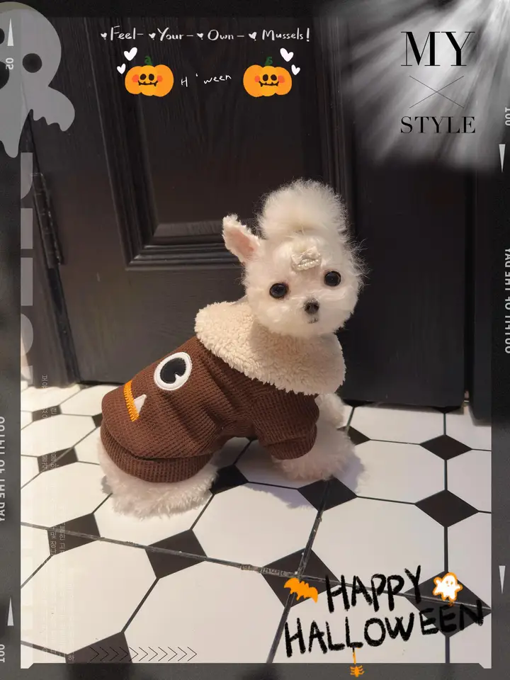 冬用厚手マルチーズパーカー【牽引付き・ハロウィン用・ビションフリーゼデザイン】