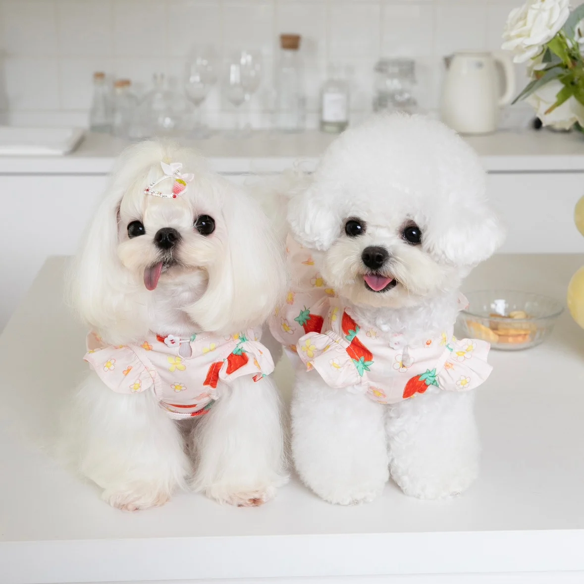 ミニスカートで夏を楽しむ！草苺風プリーツ付き犬用連身裙の使い方と特性