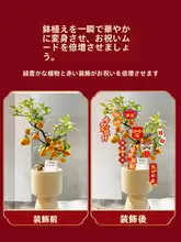 新居祝福のグリーンプラント福字ミニ掛け飾り【引越し・入居式用】