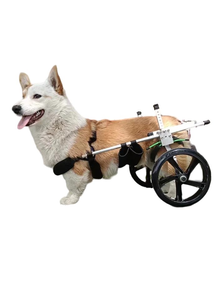 小型犬用ペット用車椅子【後肢サポート・障害犬用・調整可能】