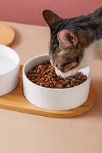 陶器製ペット用食器【シンプルデザイン・木製スタンド・キャット＆ドッグ用・二重食器・防倒れ】