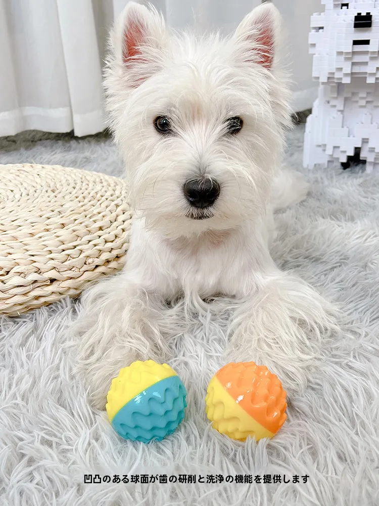 犬用フリスビーをどう選ぶ？音声機能付きの「溶岩サウンドボール」がなぜ今人気なのか