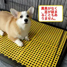 ペットマット 犬用 ケージ用すのこ プラスチック カット可能 就寝用 お出かけ トイレ 砂飛び散り防止 汚れ防止