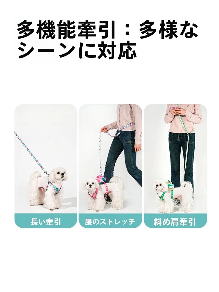 小型犬用胸背式ハーネスリード付き：キャンプやアウトドアでの安心移動を実現