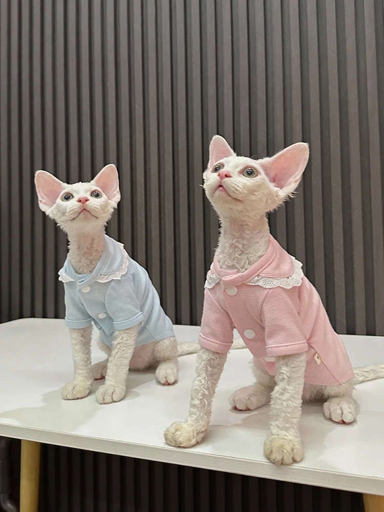 猫飼いが買ってよかったもの・悪かったもの正直に言う：スフィンクス猫用フリルTシャツの特徴とサイズガイド