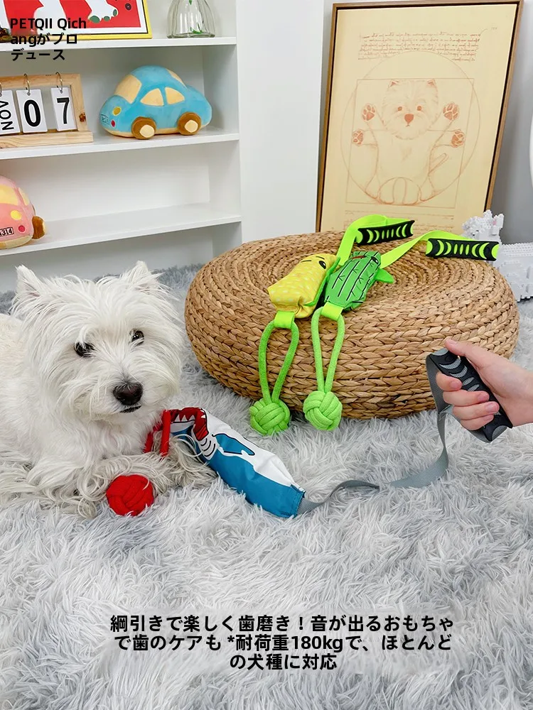 犬用おもちゃ音声機能付きインタラクティブタイプの選び方と実際の使い方