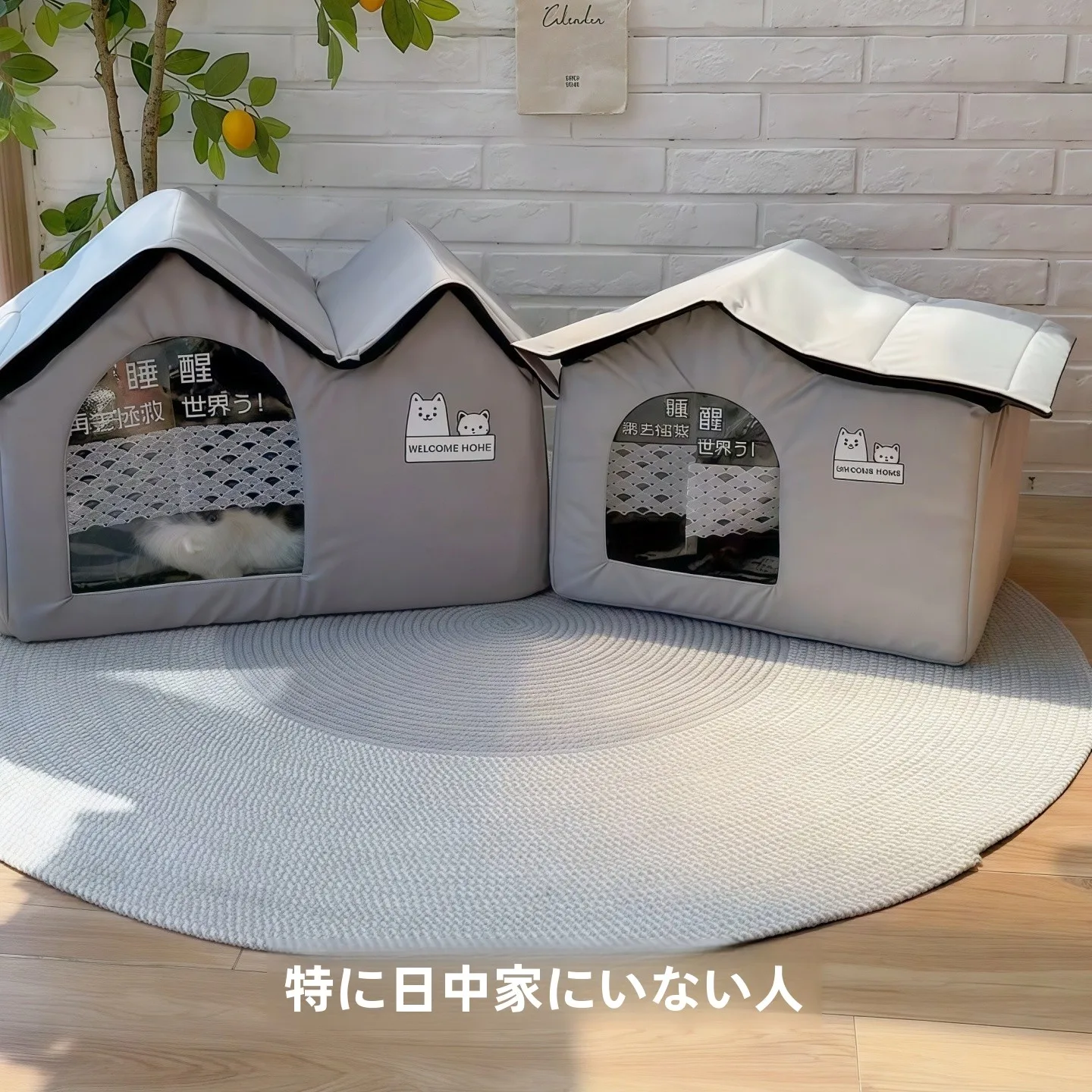 夏用猫用冷却ハウス：飼いやすさランキングで選ぶ最適な室内環境
