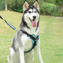 中大型犬用 ハーネス付きリード【サモエド・ゴールデンレトリバー対応・トレーニング用】
