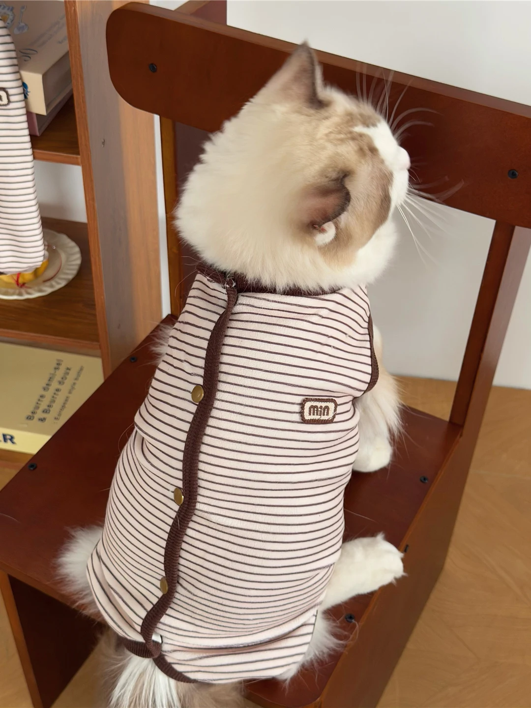 母猫用保護服 春秋用防寒脱毛防止ショートデザイン