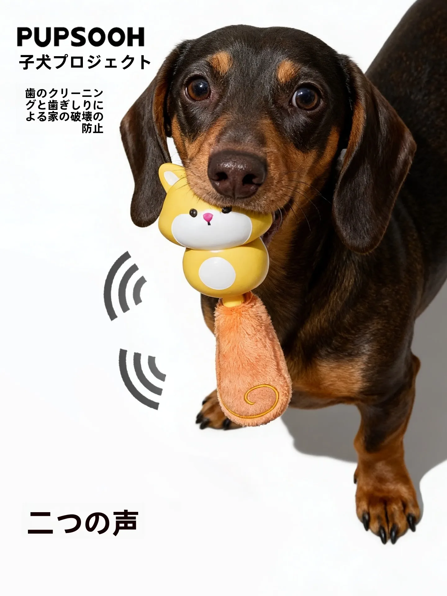 長く使えるおもちゃって、どんなもの？犬に届けたい「癒しの発声」がここに