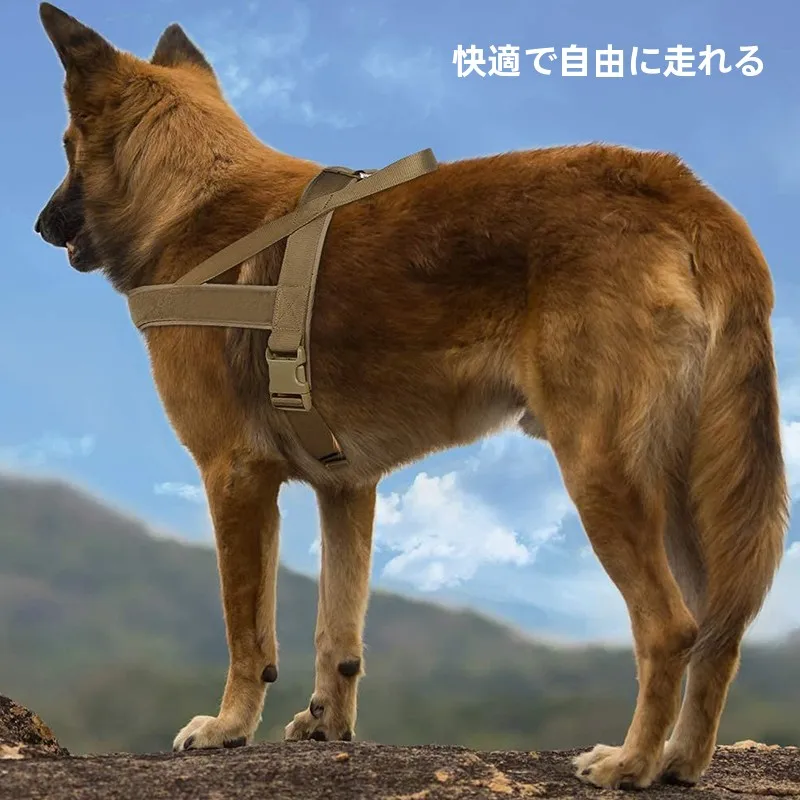 犬のお散歩グッズをコスパ良く揃える方法｜前留めハーネスの安全と快適な選び方