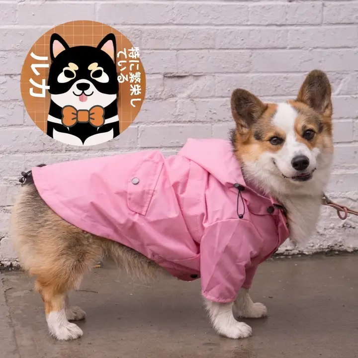 防風防雨のピンク犬用レインコート【厚手・大犬用・イギリス風】