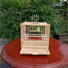 竹製昆虫飼育用大号カゴ【手作り・コオロギ飼育・虫用】（セットアップ対応）